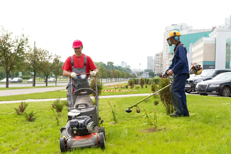 Lawn Care Services